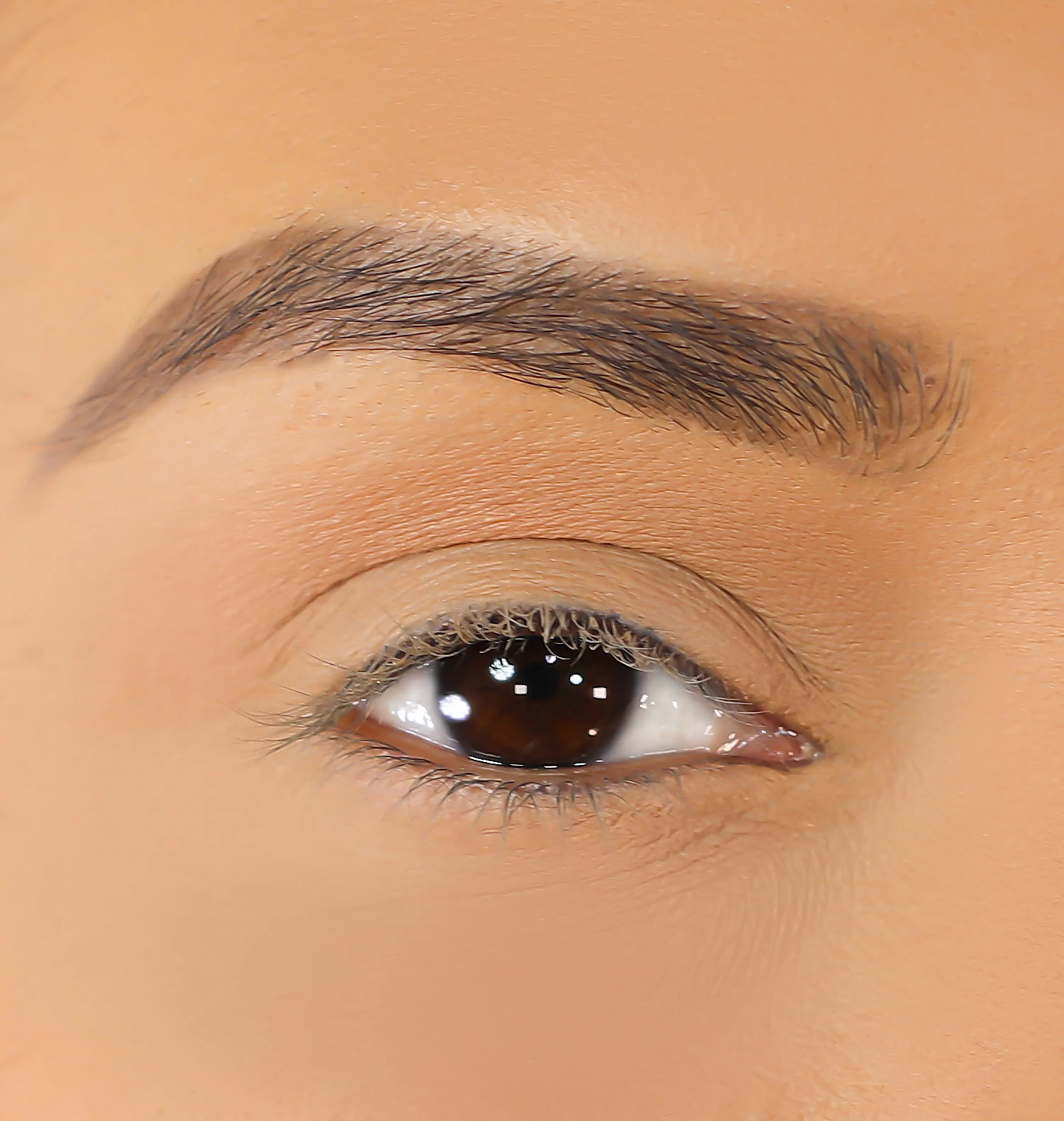 3D Mink Eyelashes - Lioness
