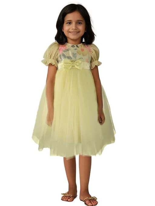 Faye Lime Yellow Embroiderd Dress